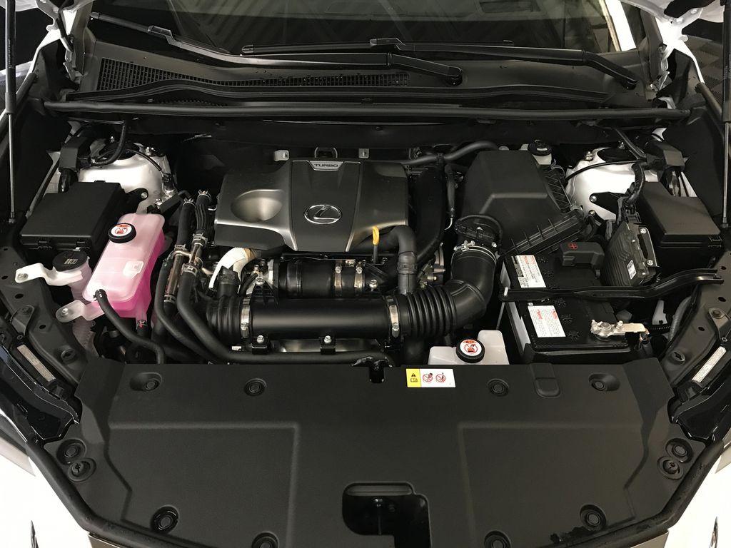 2018 Lexus NX engine